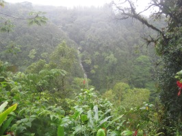 Kahuna Falls